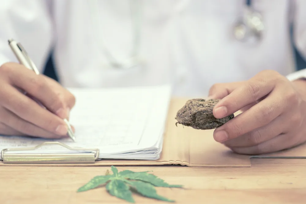 Medical Cannabis Card Online