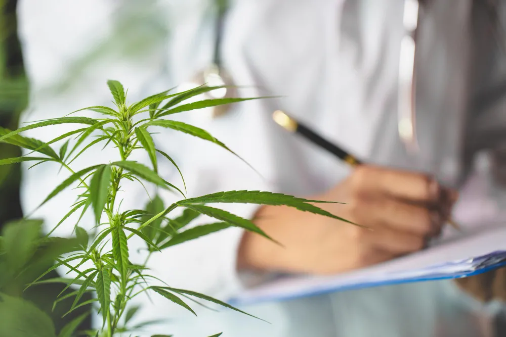 Qualify for Medical Marijuana