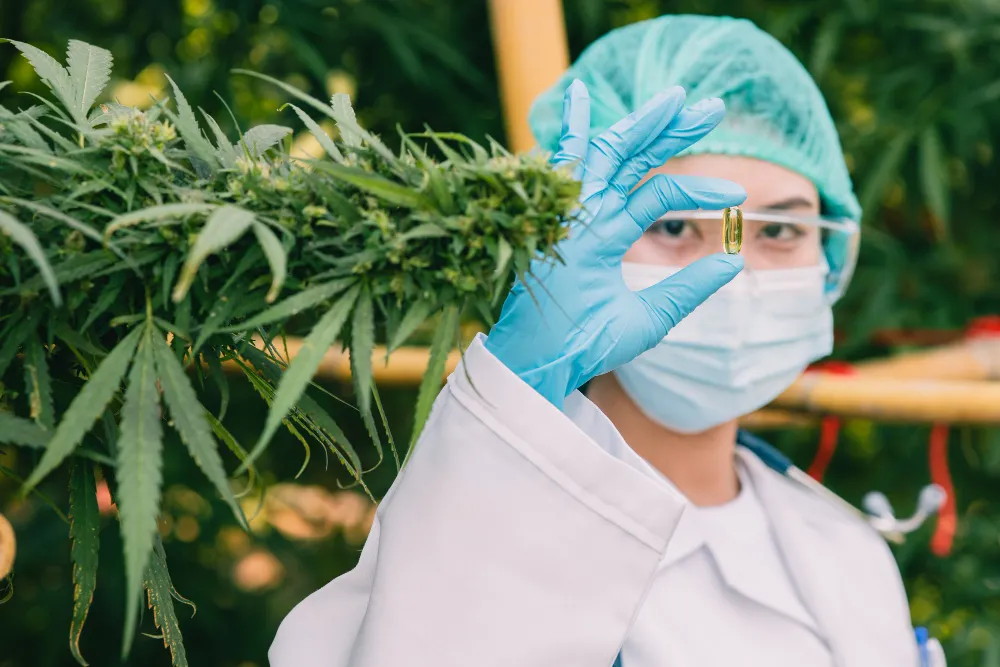  Medical Marijuana Card 