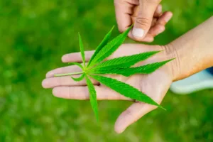 Legalizing Marijuana