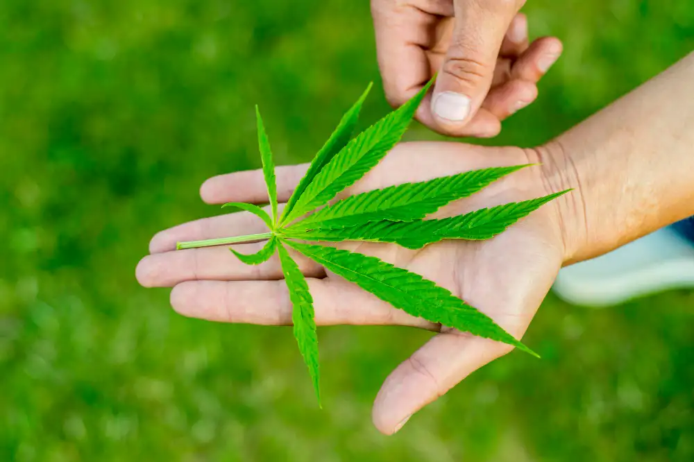 Legalizing Marijuana