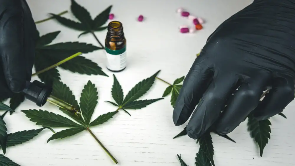 Marijuana Kill Cancer Cells