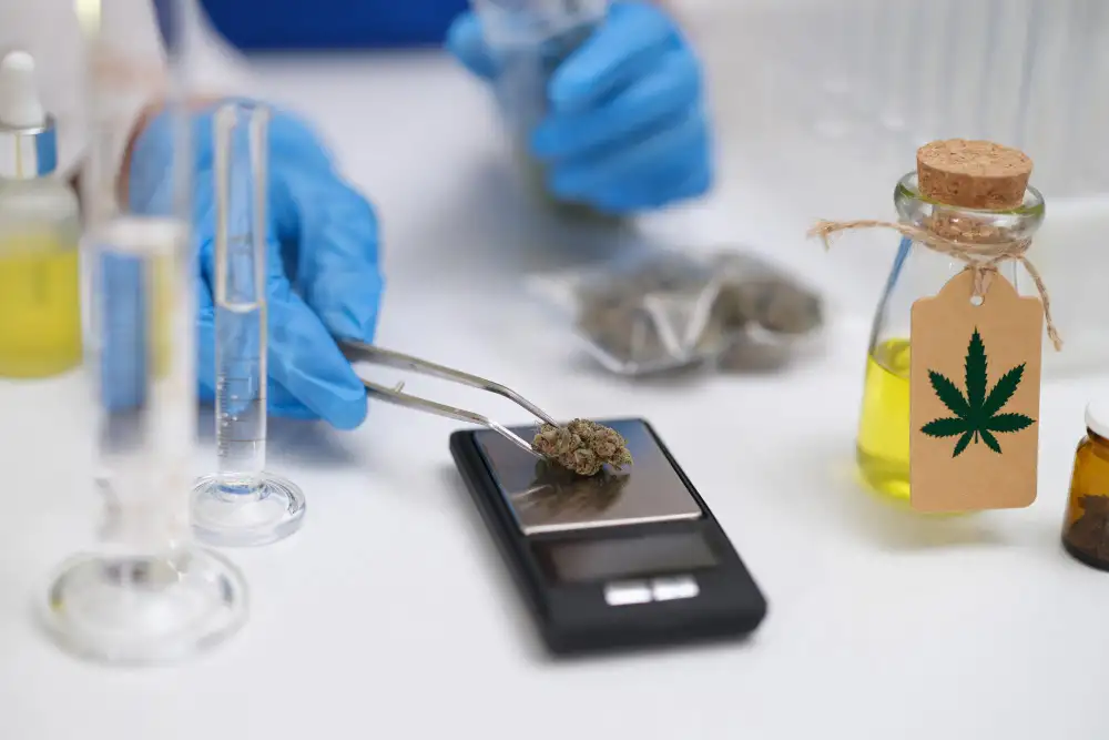 Marijuana Drug Testing Works