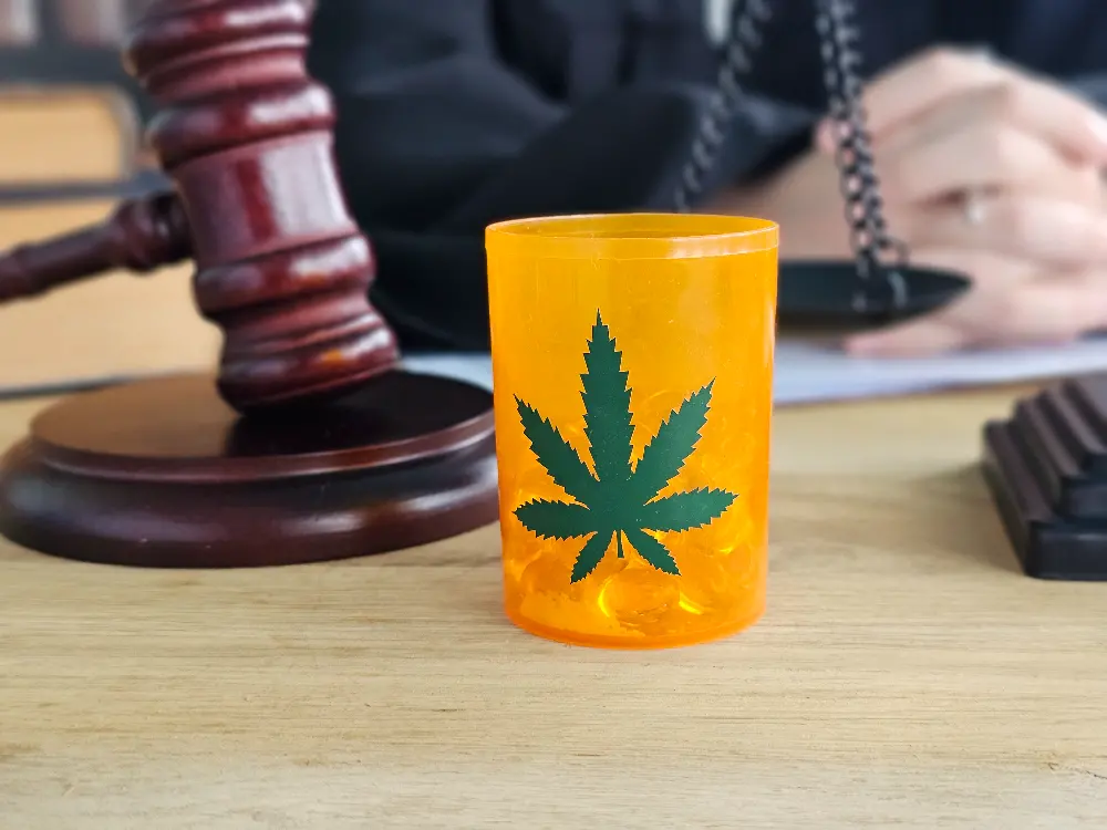 Medical Cannabis Policy