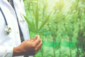 How Medical Marijuana Could Transform Healthcare in the Future