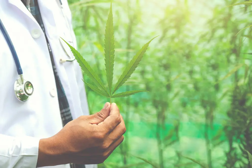 How Medical Marijuana Could Transform Healthcare in the Future