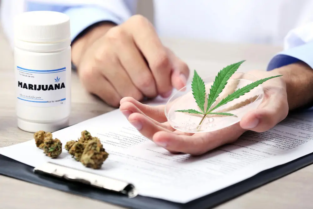 Cannabis Treat Rheumatoid Arthritis